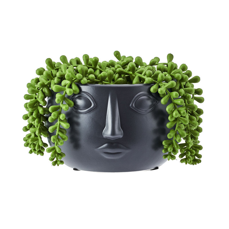 Elements Artificial Pearl Succulent, 5 Inch