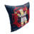Reversible Pillow Cover