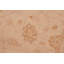 Tapis oriental brun clair en laine noué à la main 6 pi 1 po x 9 pi 1 po Baccio