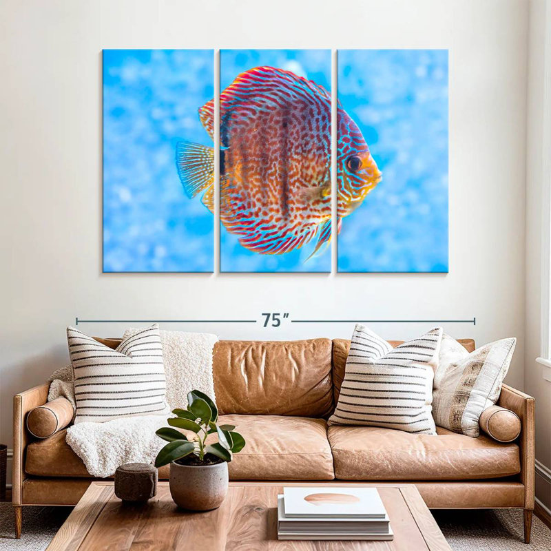 Brampt Freshwater Discus Fish, 42" H x 65" W