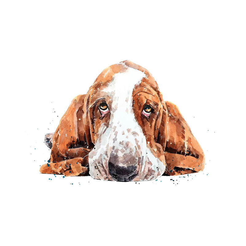« Basset » par Edwatercolours-impression, Pas de tapis, H 26 po x l 40 po x 1,5 po, Toile tendue
