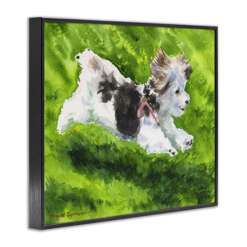 Happy Maltipoo Running Framed Giclee, design by George Dyachenko, Midnight Black Framed Giclee, 24" H x 30" W