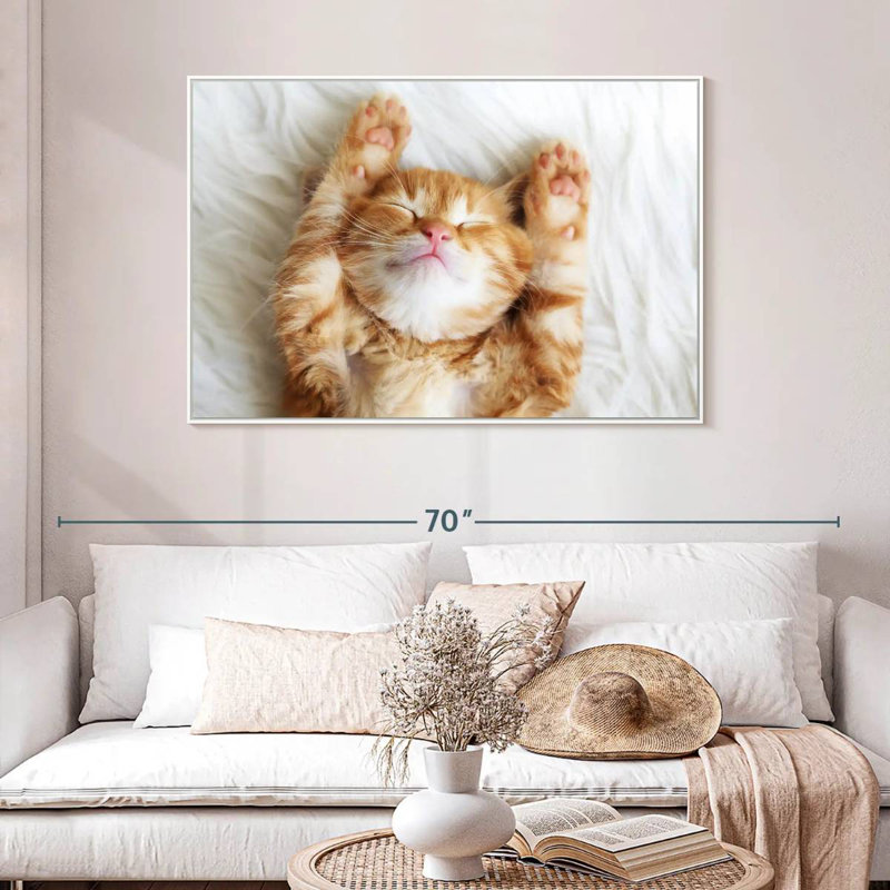 Sleepy Kitty, Cadre flottant blanc, 46 po x 31 po