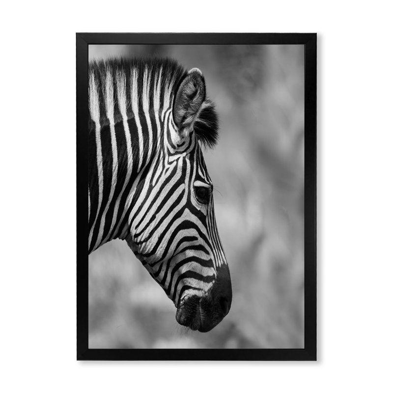 Tête de zèbre africain en noir et blanc - Impression sur toile, Cadre photo noir, H 20 po x l 12 po