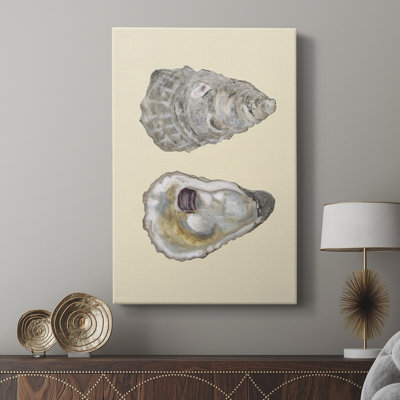 Coquilles bivalves IV - Cavas enveloppés de galerie