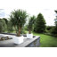 Pot Planter-37904852-37904851