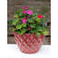 Vermehr Pot Planter-1994025438-1994025435