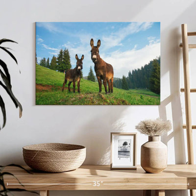 Brampt Wild Transylvanian Donkeys