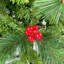 Arbre de Noël artificiel épinette-92286478