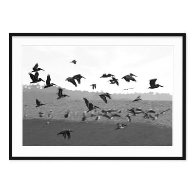 Estuaire - Photographie encadrée sur papier