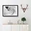 Feathers of a Swan - Picture Frame Graphic Art Print-56713404-56713407