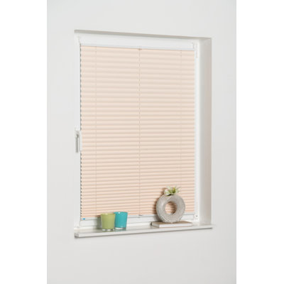 Cordless Room Darkening Pleated shade