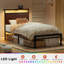 Antioch Bed with LED Light and Charging Station, Storage Headboard, No Box Spring Needed-1949370095-1949370093