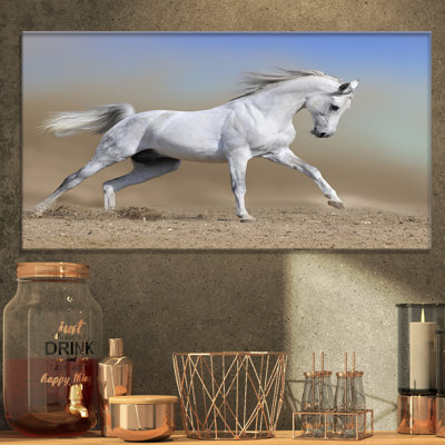 " White Horse Stallion Run Gallop In Dust "