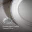 Artéfacts 21 po Lavabo de salle de bain ovale encastré
