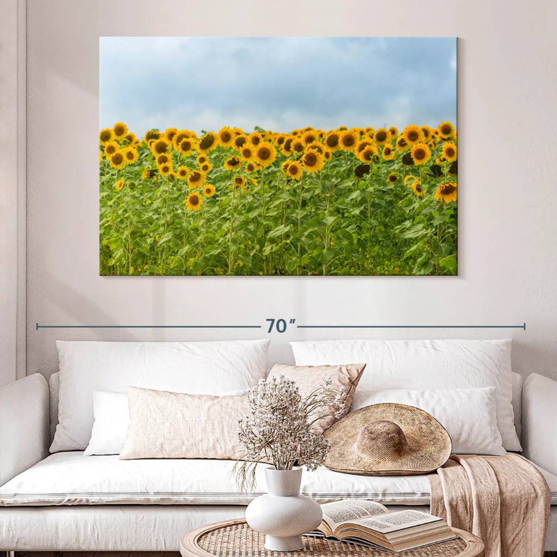 Tournesols Alvord, H 34 po x l 51 po