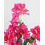 Fuchsia Bougainvillea Branch 44"