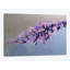 «The Leaf», reproduction sur toile-28956564-74532492-74532498