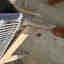 Photos des clients 1 de 2
