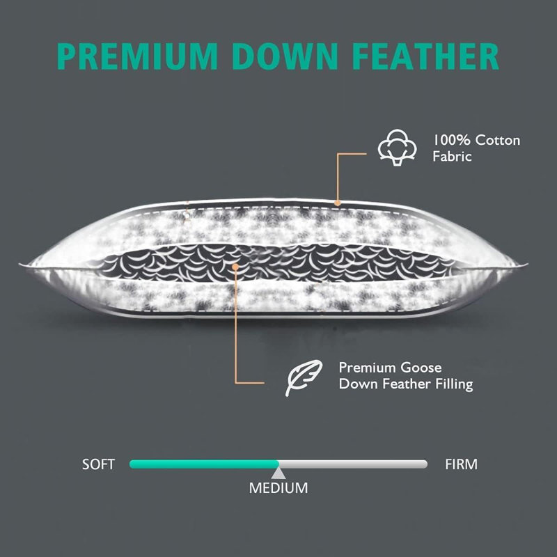 Insert de coussin décoratif décoratif en duvet de plumes avec housse en coton (ensemble de 2), H 20 po x l 20 po