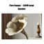 Gramophone rétro en bois d'hévéa