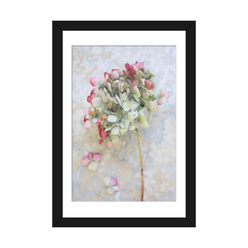 «Hydrangea pastel séché I», reproduction sur toile, Papier d'art encadré noir, H 24 po x l 16 po x P 1 po, Blanc