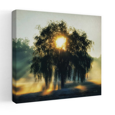 Morning Magnificence, paysage contemporain contemporain, art