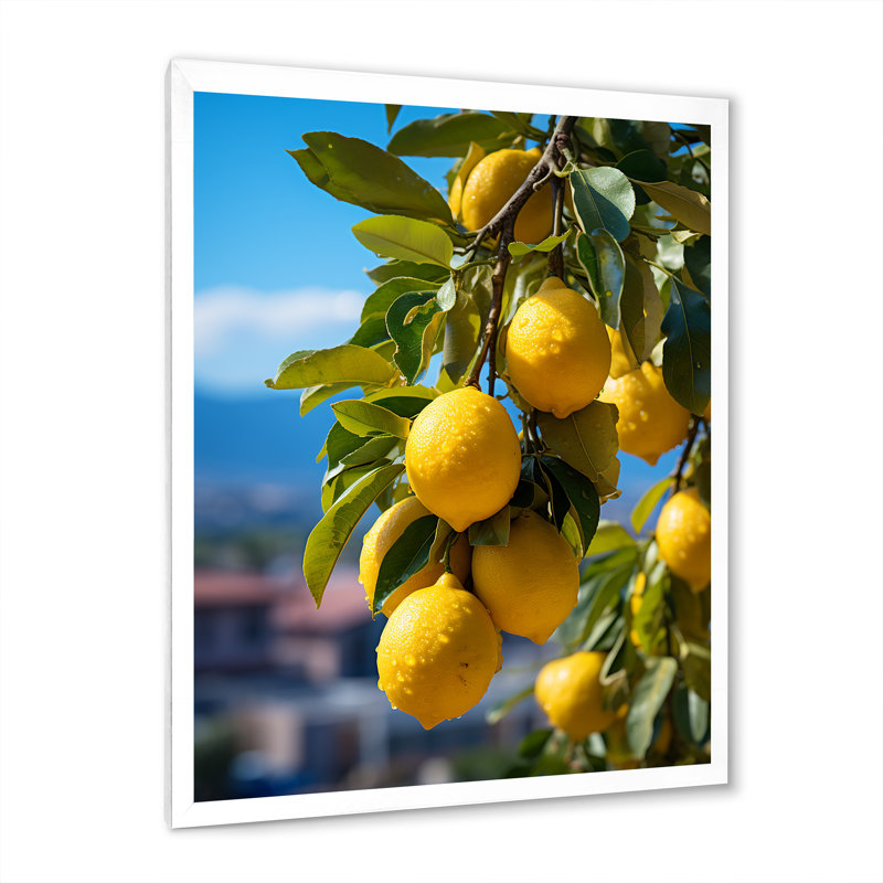Awalt Italie Sorrento Serenade I sur impression sur toile, H 32 po x l 16 po x P 1 po, Cadre photo blanc