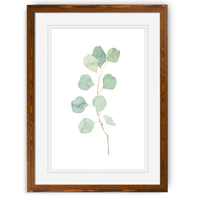 " Soft Eucalyptus Branch IV " by Paul Cezanne