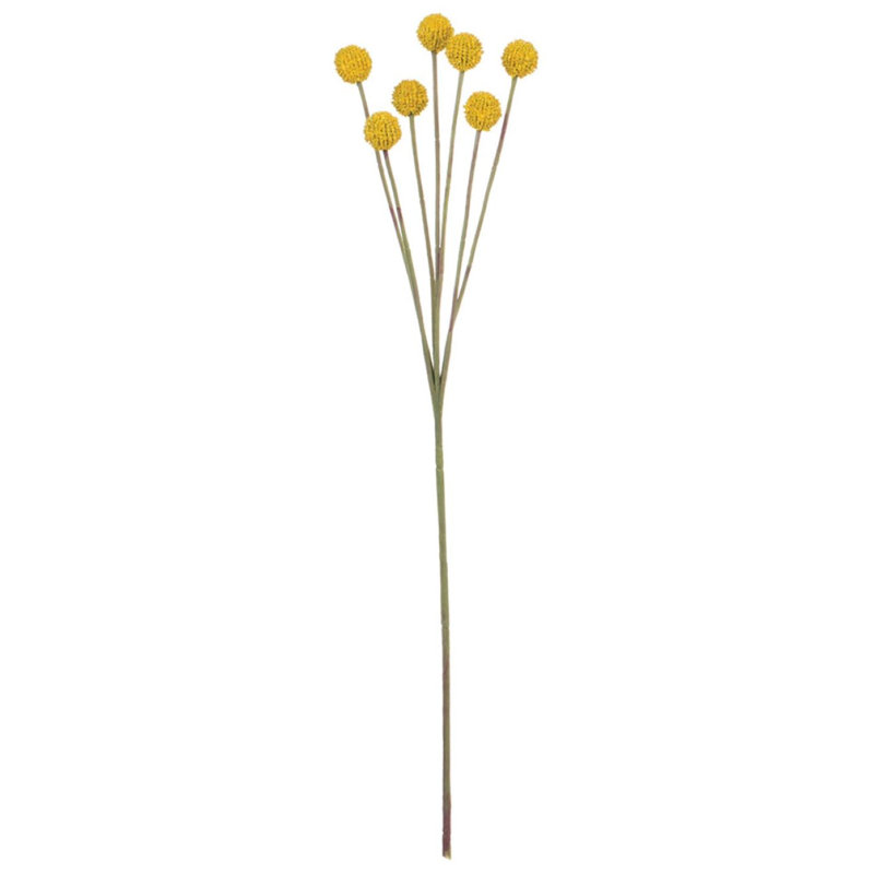 Billy Button Stem, Yellow