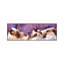 Siamese Strip by Rachel Parker - Panoramic Painting on Canvas-2011436612-2011436613