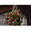 15cm Faux Flowering Plant in Wicker/Rattan Basket