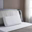Wayfair Sleep™ Memory Foam Medium Support Pillow-198584965