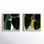 Plant Set Of 2 Painting by Studiom-1492611060-1492611071