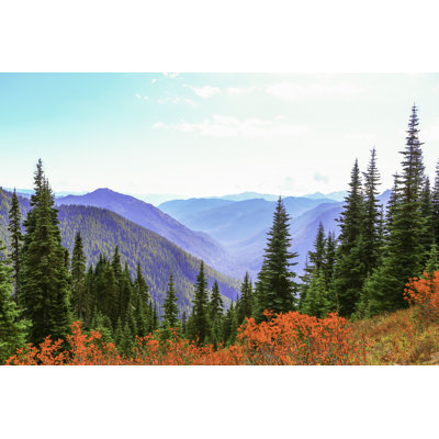 Alaxander " Mount Rainier, Washington " by Irina88W