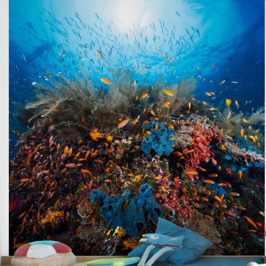 Tapete Underwater Lagoon