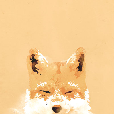 " Smiling Fox " by Robert Farkas