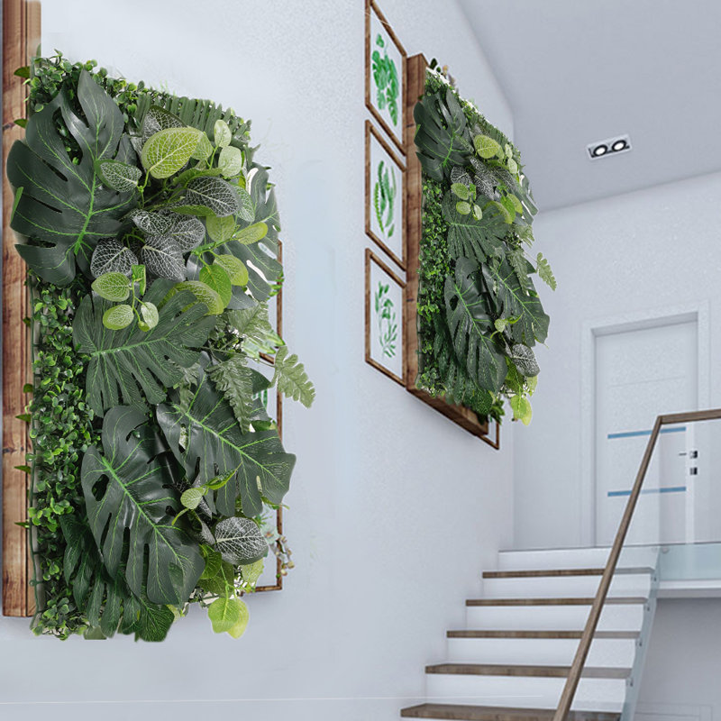60cm Plant