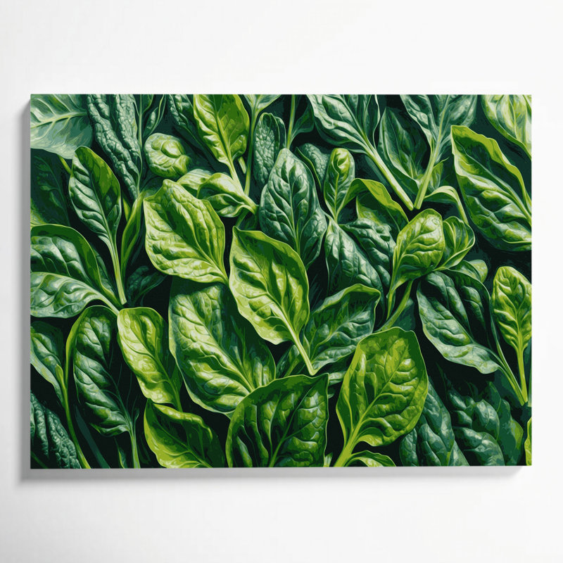Légumes, épinards, Spinacia oleracées, art mural sur toile verte, 11" H x 14" W