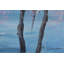 Cherry Blossom Night - No FrameRectangle Painting on Canvas