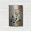 «Butterfly Botanical II» par Debra Van Swearingen-1541134891