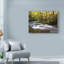 « soleil light on jakes creek ii », reproduction de photo sur toile tendue-33417747