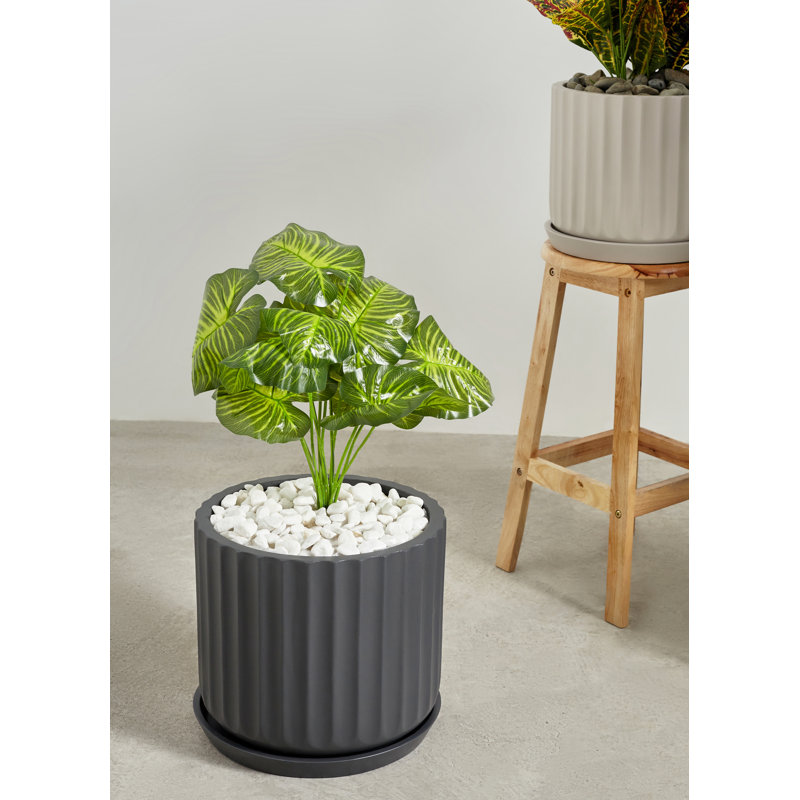 Pot à fleurs Langport, Gris anthracite, H 10,25 po x l 11,5 po x P 11,5 po
