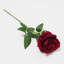 Tige de velours roses-31954745