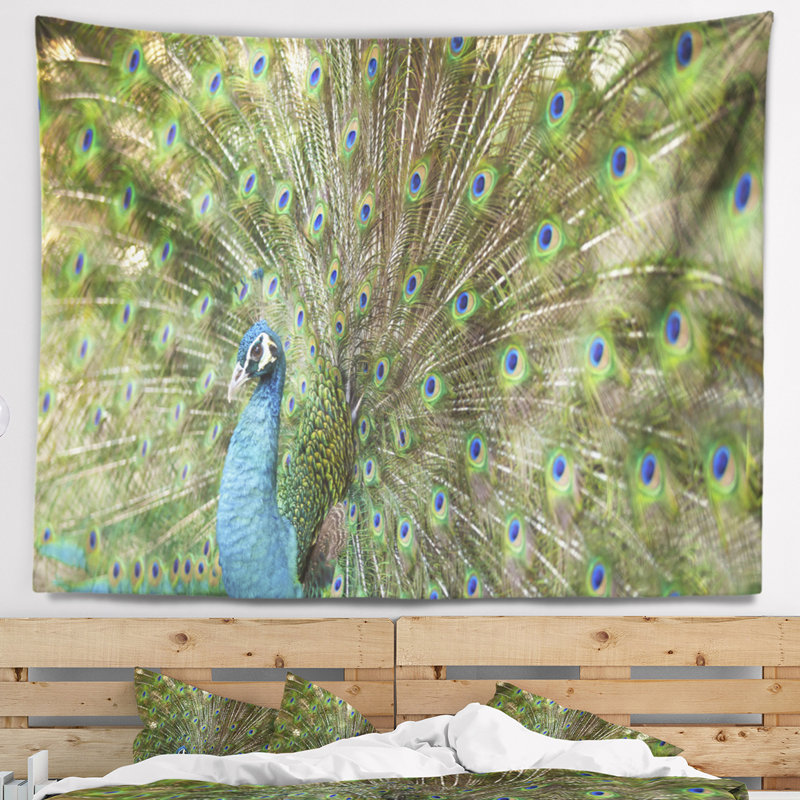 Beau paon avec tapisserie de plumes Animal, H 32 po x l 39 po