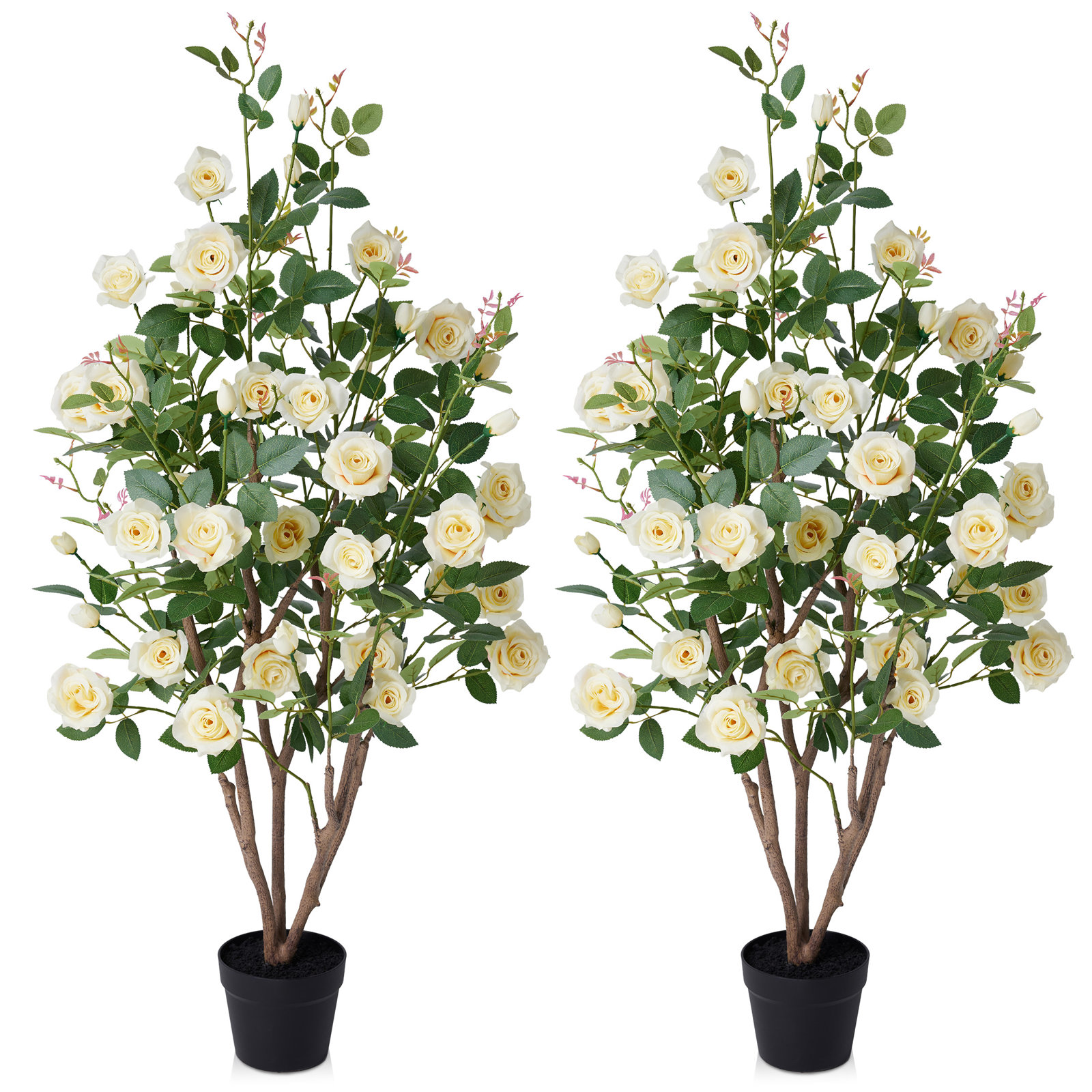 Ashwell UV Resistant Rose Tree, Yellow, 48 (in) x 28 (in)