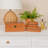 Leather Jewelry Box +