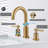 2-handle Bathroom Faucet with Drain Assembly-101256530