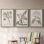 Antique sépia botanicals I - ensemble de 3 reproductions d'art sur toile-1241077290-1241077295