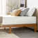 Wayfair Sleep Napeague Plush Memory Foam Mattress